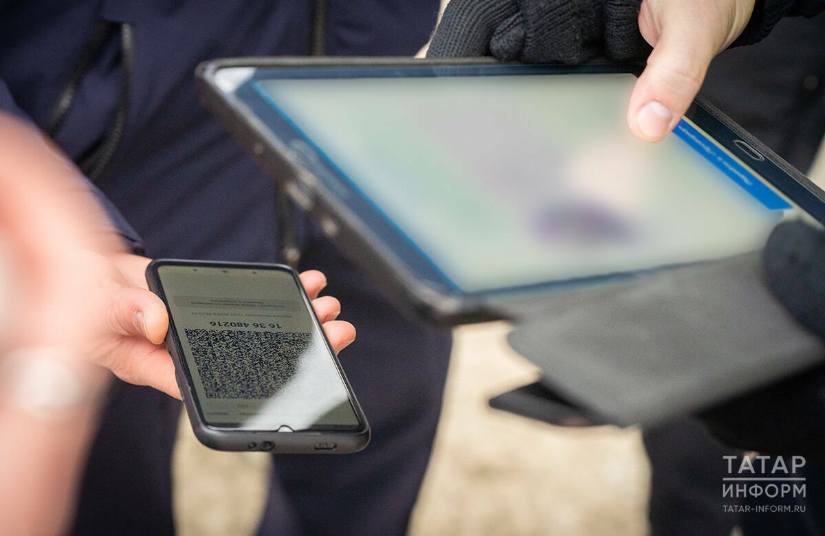 «QR-код аша керәсең дә, бөтен акчаңны югалтасың»: мошенник сайтларын ничек танырга?