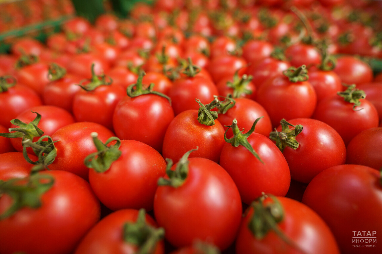 Татарстанда помидор бәясе 12 процентка диярлек арткан