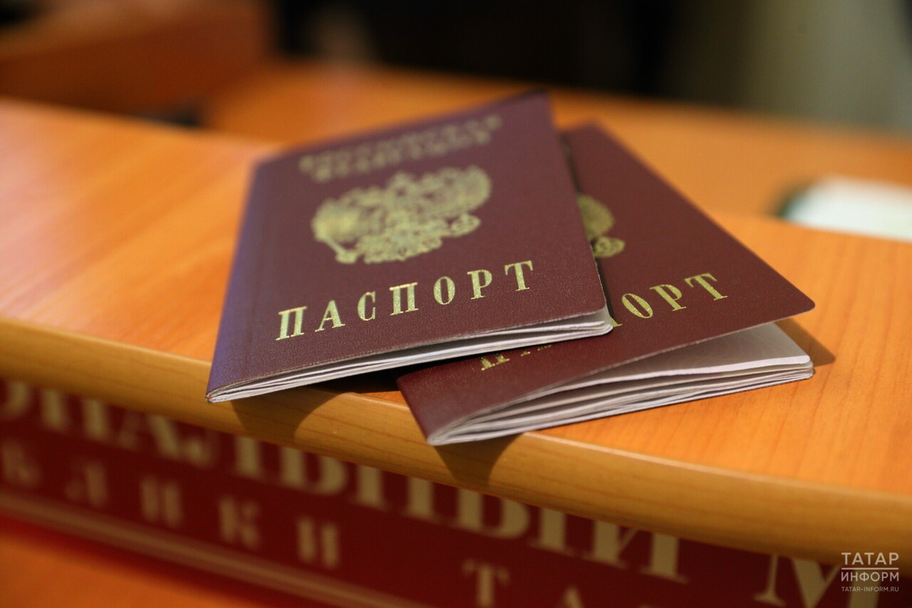 Паспортның дөреслеген Дәүләт хезмәтләре порталында тикшереп була