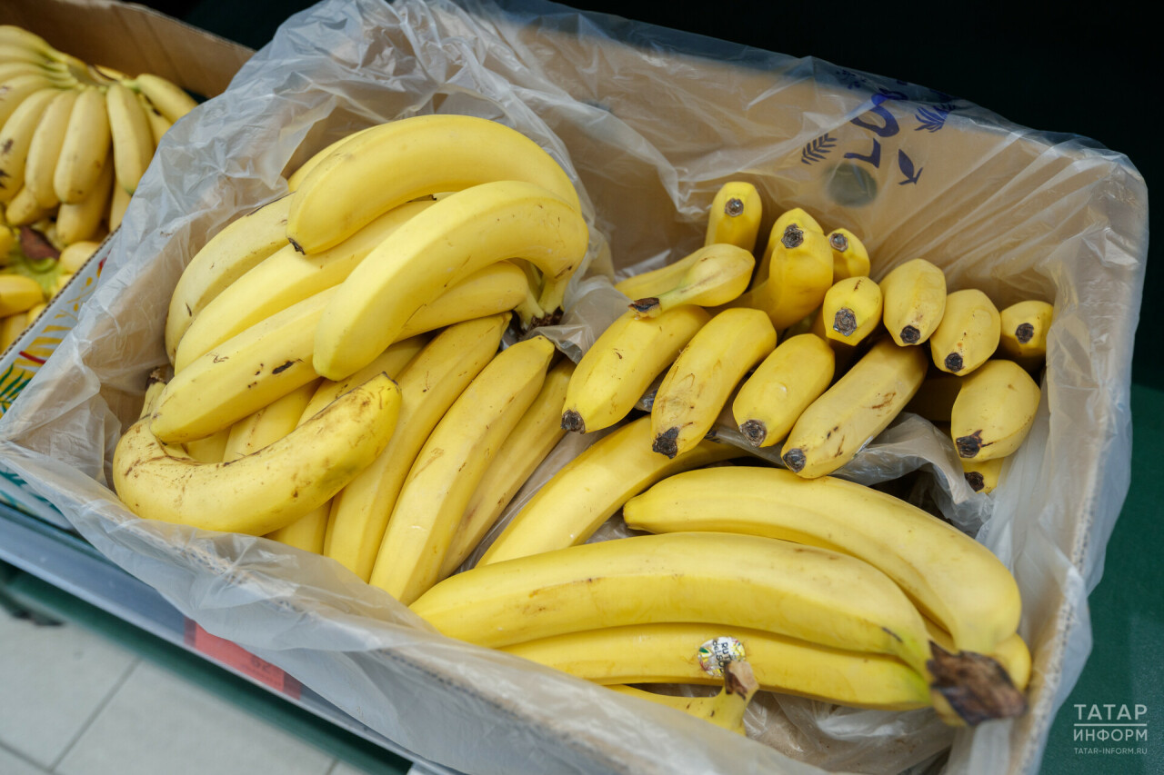 Эксперт Россиядә үскән бәрәңгенең Эквадор бананыннан кыйммәт булу сәбәбен әйтте