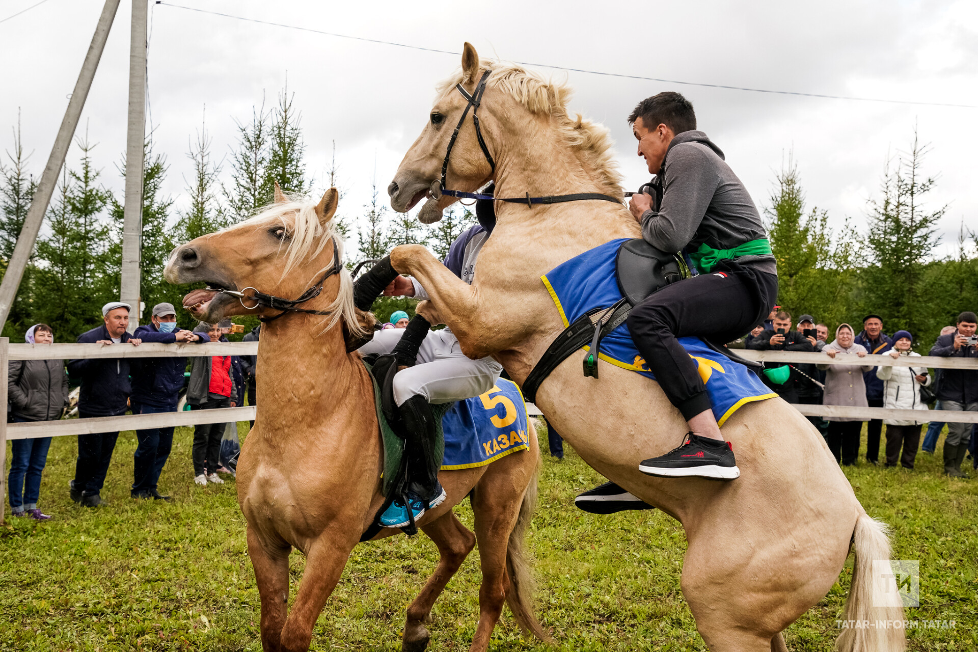 Арчада узачак «Ат көне»: милли көрәш, татар токымлы атлар ярышы һәм салютлы концерт