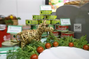 Татарстанда 71 предприятие хәләл таләпләргә туры килү турында таныклык алган