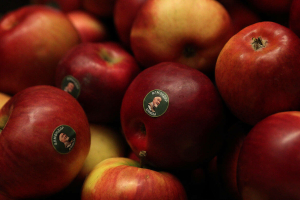 «Әлдермештән Әлмәндәр» спектакле премьерасыннан фоторепортаж