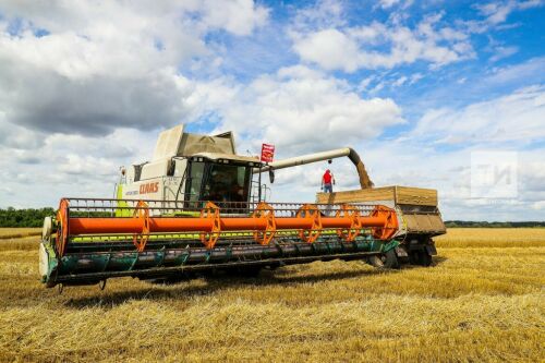 Татарстанда иң яхшы комбайнчыларны билгеләделәр