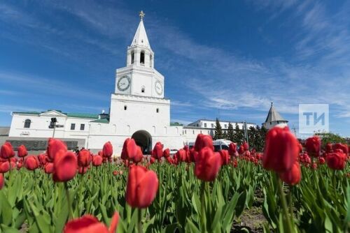 Казан Кремле Россиянең туристлар арасында иң популяр истәлекле урыннары исемлегенә кергән