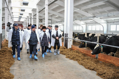 Рөстәм Миңнеханов Әлмәттә сөтчелек комплексында булды