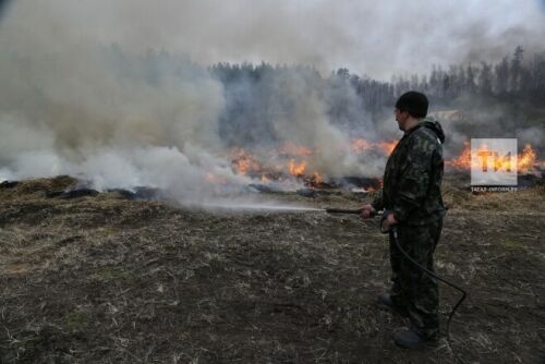 Башкортстанда 9 га мәйданда урман яна