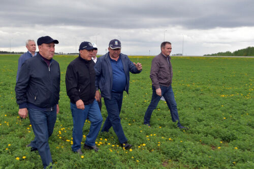 Рөстәм Миңнеханов Лаешта язгы кыр эшләренең торышын бәяләде