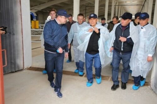 Мини-ферма төзергә теләүчеләргә мөмкинлек бирергә кирәк - Рөстәм Миңнеханов