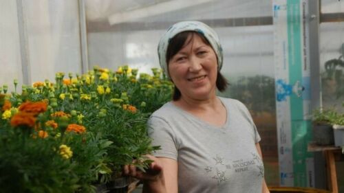 Зәйдә Әлмиевлар хуҗалыгында чәчәкләр үстерәләр