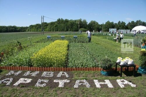 “Татарстанда кыр көне”ндә фермерларга һәм кооперативларга сертификатлар тапшырылды