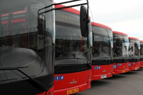 Татарстанда 17 мең автобус лицензияләү узарга тиеш
