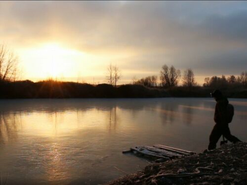 Түбән Кама укучылары серле Яуш урманы турында фильм төшергән