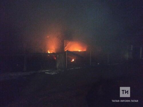Татарстанда янгын чыккан йортта хуҗа хатын һәлак булган