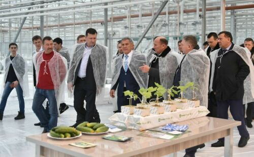 Рөстәм Миңнеханов: Лениногорскида фермерларга ярдәм итү мәсьәләсе контрольдә булырга тиеш