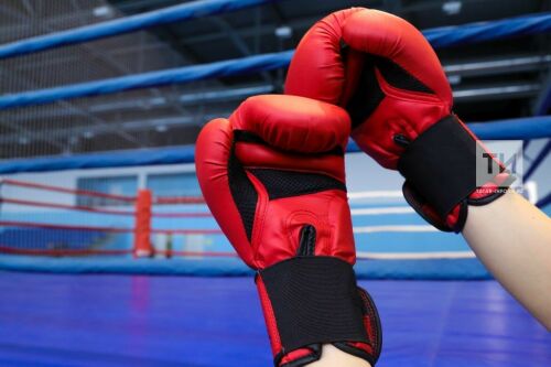 Әлмәт боксчылары республика турнирында беренче урын алган