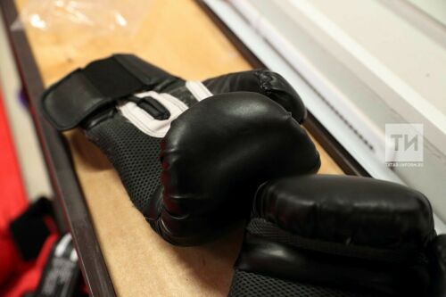 Әлмәт боксчылары республика турнирында җиңгән