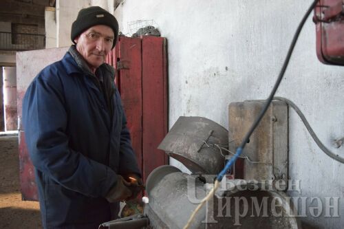 Чирмешән районының “Сөлчә” җәмгыятендә кыр эшләре батырына бозау бирәчәкләр