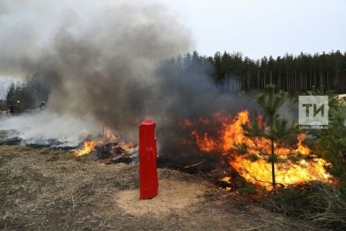 Татарстанда урман янгыннары куркынычы сәбәпле шторм кисәтүе игълан ителде