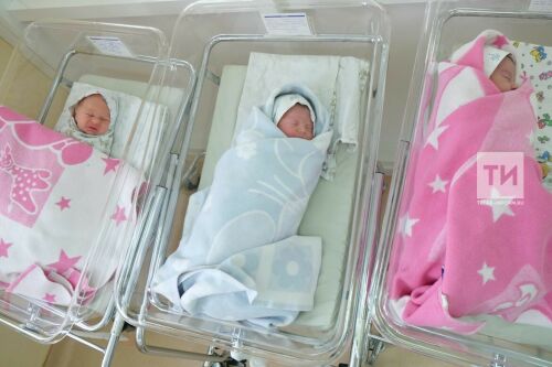 Түбән Кама туучылар саны буенча республикада дүртенче урында тора