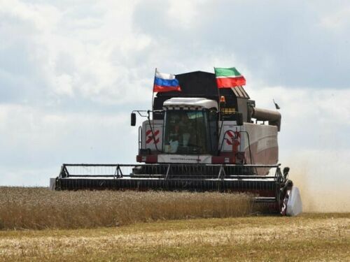 Түбән Камада узган атнаның иң яхшы комбайнчысы ачыкланды