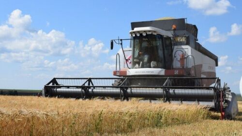 Нурлат беренче булып бөртекле һәм кузаклы культуралар җыюны төгәлләде