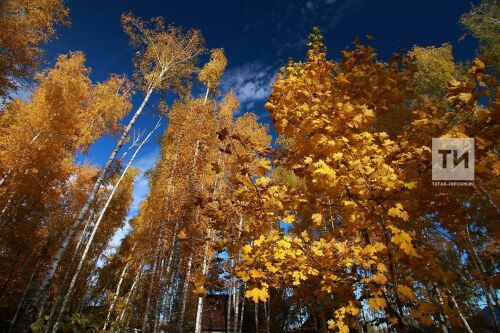 Киләсе атна башында Татарстанда җылы һава торышы сакланачак
 