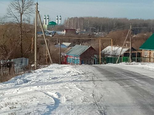 Ростовтагы татар егете Пензаның татар авылларына экскурсия оештыра