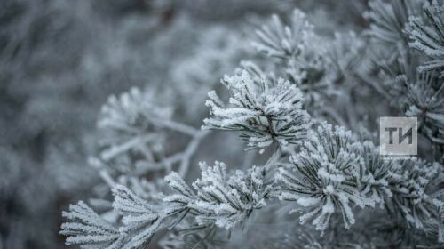Татарстанга кыска вакытлы салкын килә