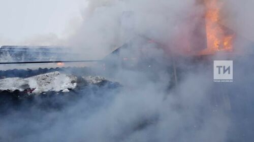 Татарстанда күп балалы ана янгыннан ике баласын чыгарган, өченче улы һәлак булган