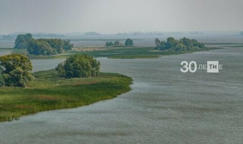 Татарстанда сулыкларда закон бозуның 400дән артык очрагы ачыкланган