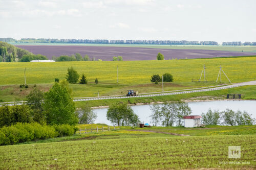 Быел Татарстанда сезонлы кыр эшләренә 20 млрд сумнан артык акча тотылган