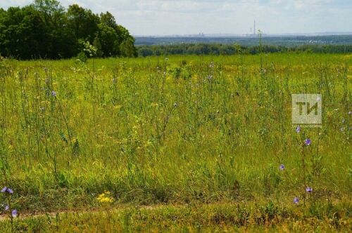 Татарстан депутатлары инвалидларга җир бирү тәртибе буенча мөрәҗәгать әзерләгән