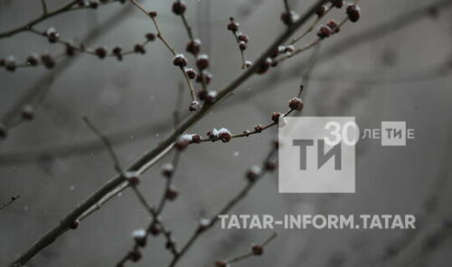 Сәламәтлеге һава басымына бәйле кешеләр өчен 2020 ел иң кулае булган