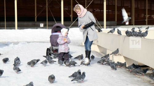 Татарстанда -6 градуска кадәр салкынайтачак