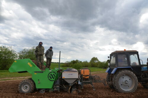 Саба районында бәрәңге утырту эшләре төгәлләнеп килә