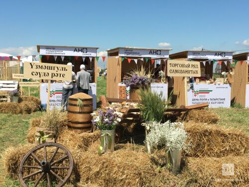 Быел грант откан фермерлар акчаны кайсы юнәлешләргә сарыф итәргә җыенуларын әйттеләр