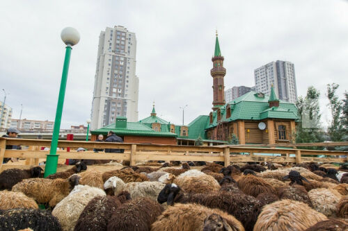 Татарстанда корбан чалу урыннары билгеләнде