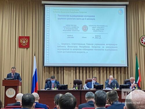 Былтыр Татарстанда котыру чире 2019 елга караганда күбрәк булган