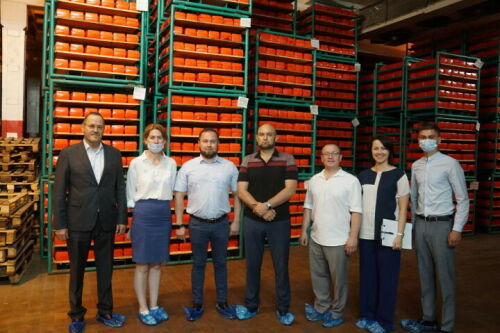 Балтач районында җитештерелгән сырны Мәскәүгә һәм Санкт-Петербургка алып китәләр