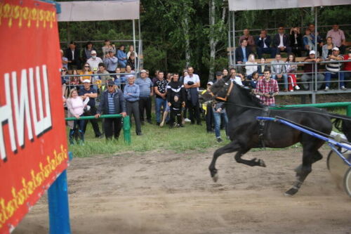 Әлки районында атлар чабышында артта калучыларны да бүләкләделәр