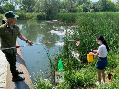  Отар бистәсендәге ерганакларның пычрану факты буенча административ тикшерү башланган
