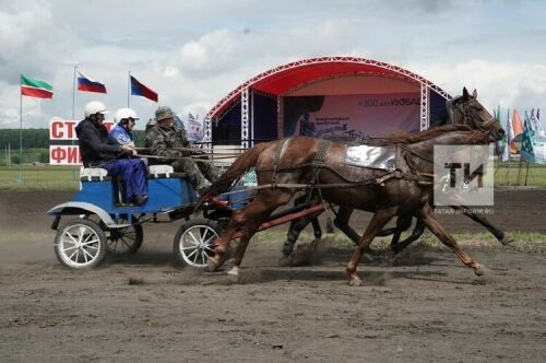 Шахтерлар Сабантуенда ат чабышлары Кемерово губернаторы призына үтә