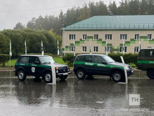 Илгизәр Зарипов: Хәзер барлык урман хезмәтләре цифрлы форматка күчте