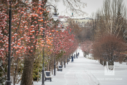 Салкын вакытта мәктәпләрдә дәресләрне кичектерү тәртибе турында аңлаттылар