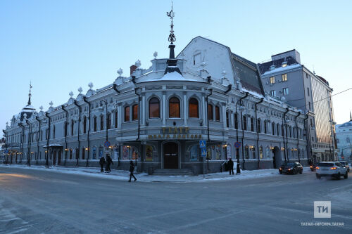 Казан Яшь тамашачы театры хайваннар приютларына булышу өчен хәйрия акциясе үткәрә