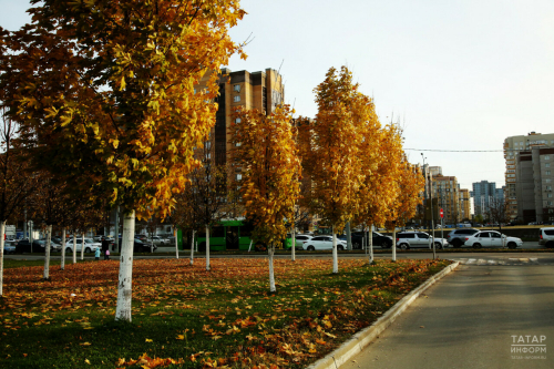 Җомга көнне Татарстанда җылы һава торышы сакланачак