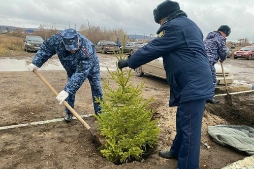 Әлмәтнең 8нче төзәтү колониясендә Ветераннар истәлеге аллеясы утыртылды