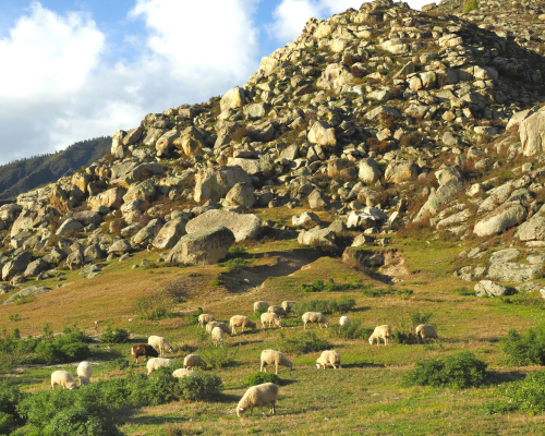 Халык язучысы Марсель Галиевнең Алтай сәяхәтләреннән фотокүргәзмә ачылды