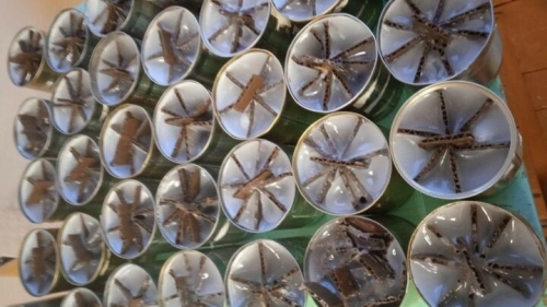 Зәй районы укытучысы махсус хәрби операциядәге егетләргә окоп шәмнәре ясый